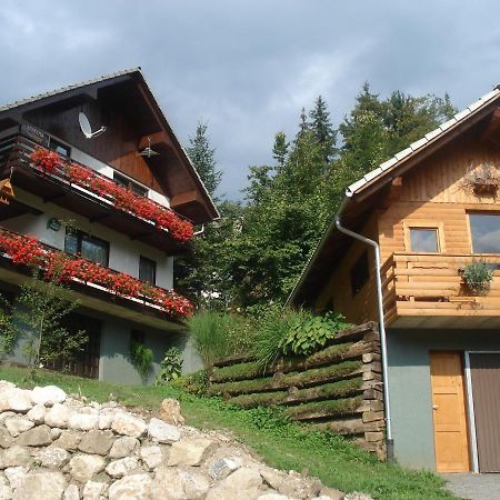 Апартаменти Apartma Podlogar Golica Triglav Єсеніце Екстер'єр фото