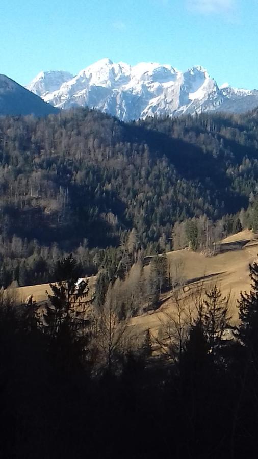 Апартаменти Apartma Podlogar Golica Triglav Єсеніце Екстер'єр фото