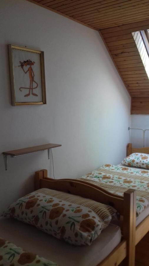 Апартаменти Apartma Podlogar Golica Triglav Єсеніце Екстер'єр фото